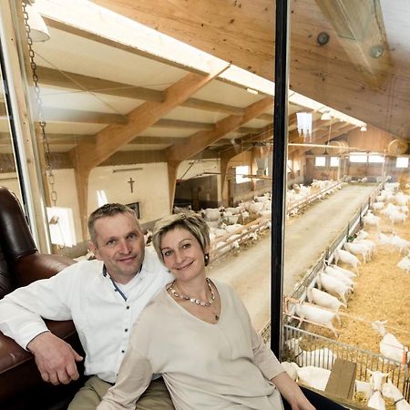 Auszeit Am Ziegenhof Nur Fuer Erwachsene Apartman Schlierbach Kültér fotó